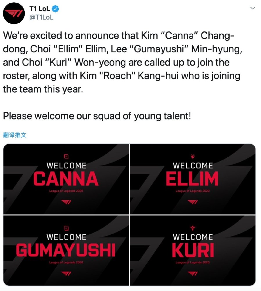 他们的