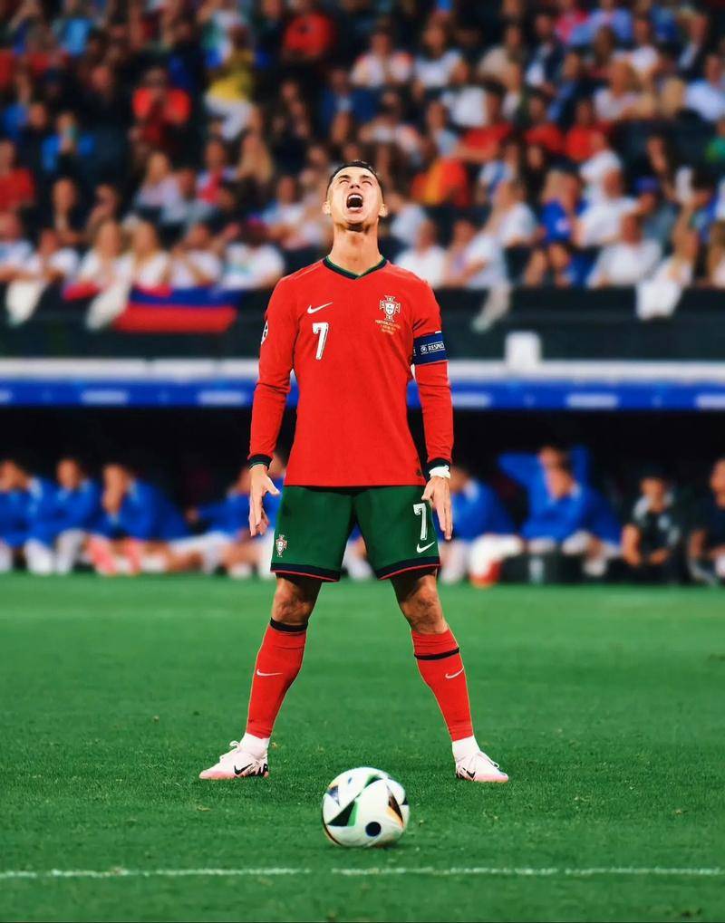 育文化的普 育文化的普