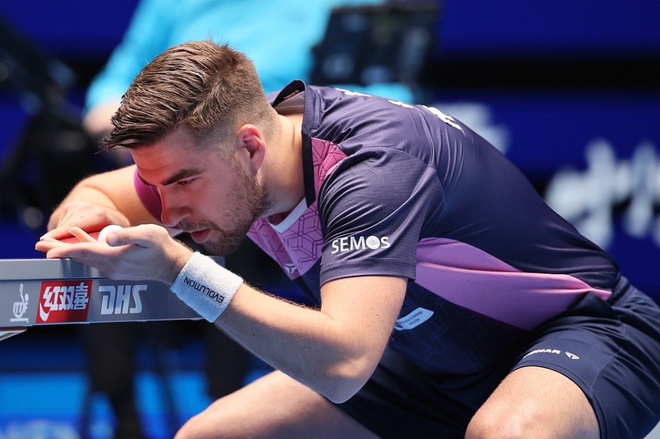 动在中国的 动在中国的