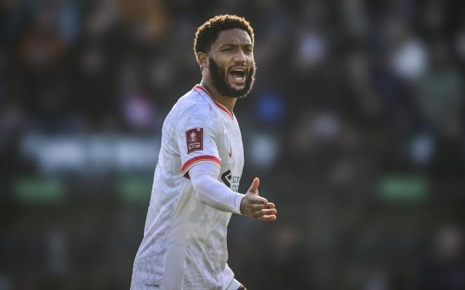 借其稳定的 借其稳定的